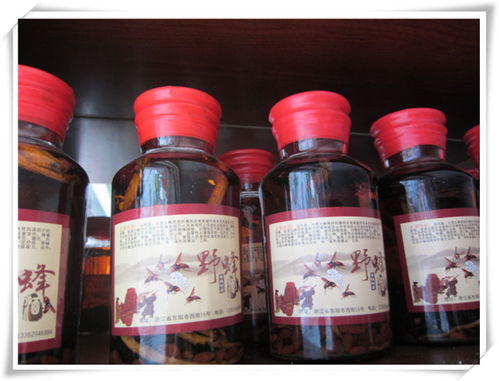 蘭溪嘉行養(yǎng)生酒 精品酒類批發(fā)優(yōu)選，輔仁路優(yōu)質(zhì)供應(yīng)商